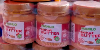 Malmo Foods