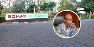 bomas of kenya nancy gathungu photo