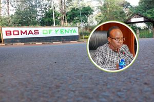 bomas of kenya nancy gathungu photo