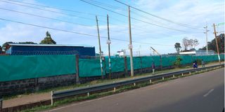 bomas of kenya nancy gathungu photo