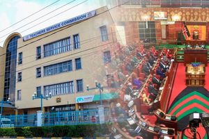 TSC and Parliament