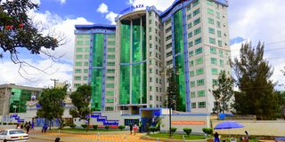 Mount Kenya University