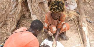 WhatsApp Image 2026-02-20 at 23.07.55