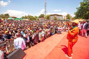 WhatsApp Image 2026-02-21 at 19.17.47