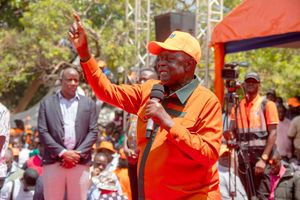 WhatsApp Image 2026-02-21 at 19.17.16