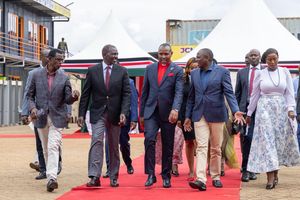 WhatsApp Image 2026-02-22 at 18.19.17