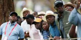 Kenya Open