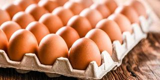 Poultry eggs