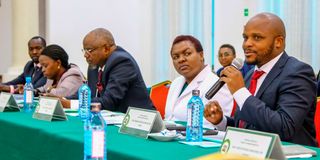 Diaspora Affairs and Migrant Workers Parliamentary Inquiry Committee