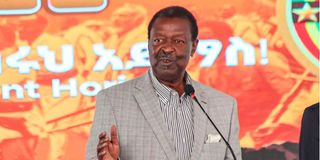 Musalia Mudavadi