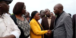 WhatsApp Image 2026-03-01 at 20.12.56