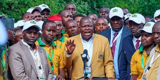 DNKUPPETBrief0303(6)