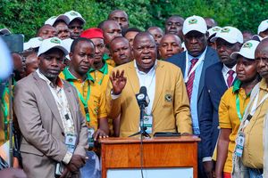 DNKUPPETBrief0303(6)