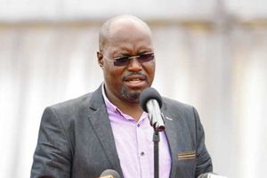 WhatsApp Image 2026-02-28 at 20.47.20