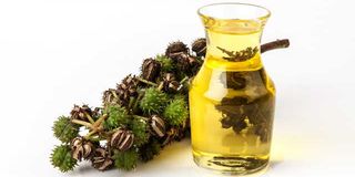 Castor oil.