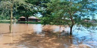 Nyakach floods 