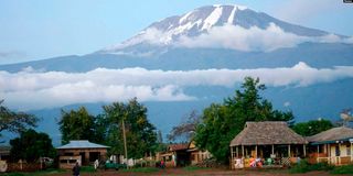 Kilimanjaro