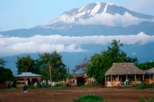 Kilimanjaro