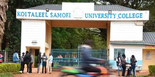 Koitalel Samoei University College
