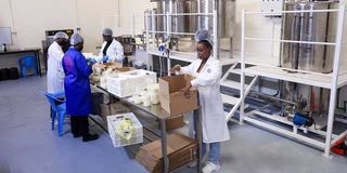 Design Perfection Products Limited 