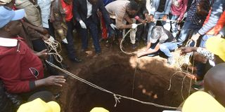 WhatsApp Image 2026-03-12 at 10.55.49