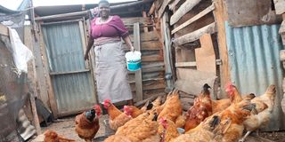 SEEDSLOCALINNOVATION007