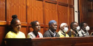 WhatsApp Image 2026-03-13 at 16.35.27