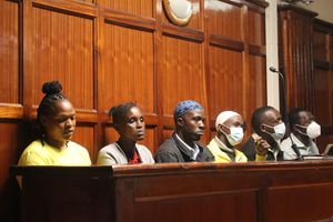 WhatsApp Image 2026-03-13 at 16.35.27