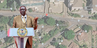 Nation inside - 2026-03-14T131501.698