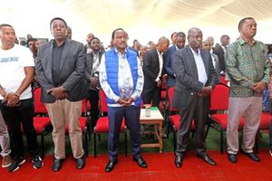 Eugene Wamalwa, Kalonzo Musyoka, Rigathi Gachagua