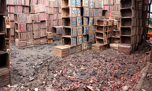 New Content Item (1)