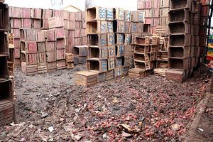 New Content Item (1)