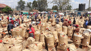 New Content Item (1)