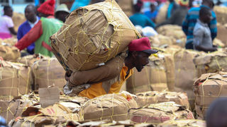 New Content Item (1)