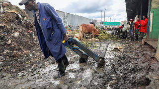 New Content Item (1)