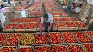 New Content Item (1)