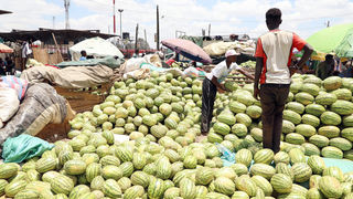 New Content Item (1)