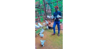 Ornamental bird farmer George Eshiwan Bota