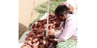 A woman sells sweet potatoes