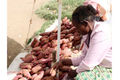 A woman sells sweet potatoes