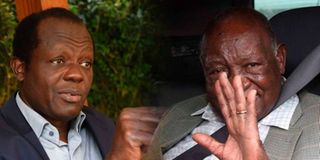 Raphael Tuju and Kenneth Matiba