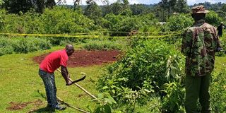 WhatsApp Image 2026-03-22 at 12.23.53