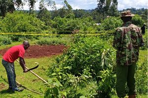 WhatsApp Image 2026-03-22 at 12.23.53