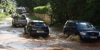 WhatsApp Image 2026-03-23 at 12.05.46