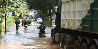 WhatsApp Image 2026-03-23 at 12.00.36