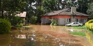 WhatsApp Image 2026-03-23 at 11.52.49