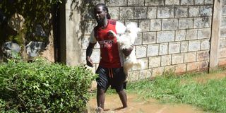 WhatsApp Image 2026-03-23 at 11.44.25