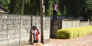 WhatsApp Image 2026-03-23 at 11.44.00