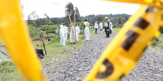 WhatsApp Image 2026-03-24 at 12.20.37