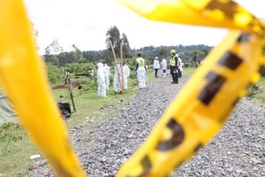 WhatsApp Image 2026-03-24 at 12.20.37